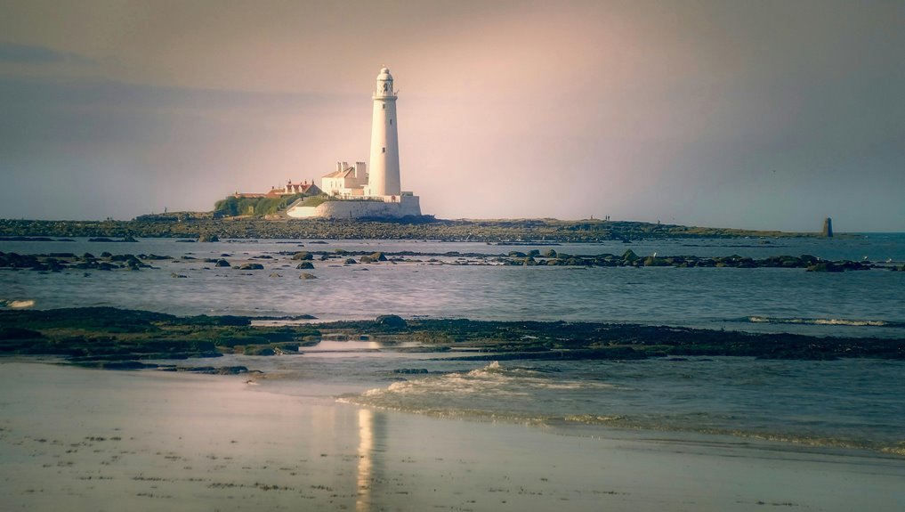 qualia collection services overview